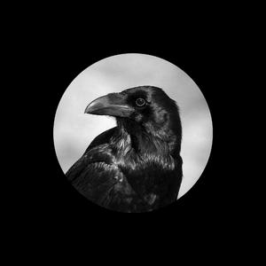 在浴室边啃奶头边躁视频
