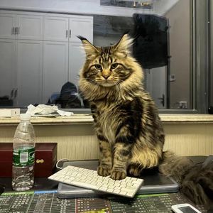 在浴室边啃奶头边躁视频
